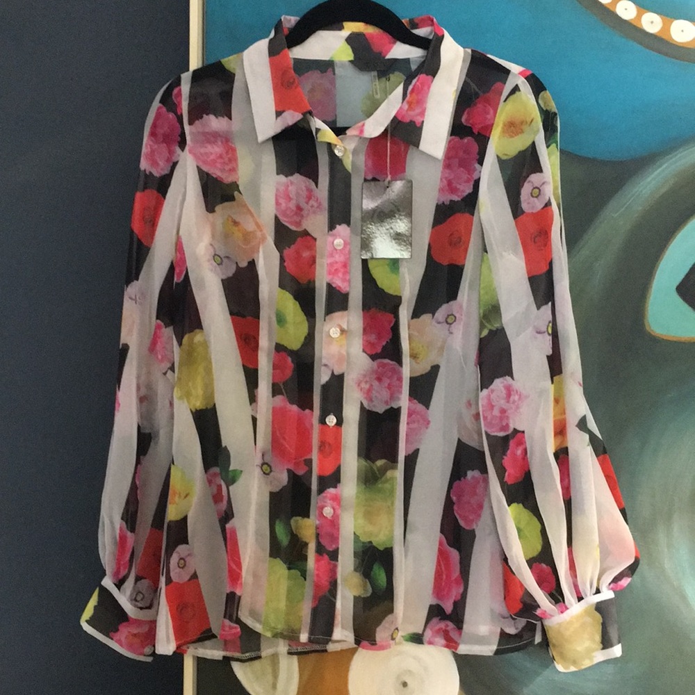 NWT Tov Holy Floral Stripe Sheer Long Sleeve Blouse